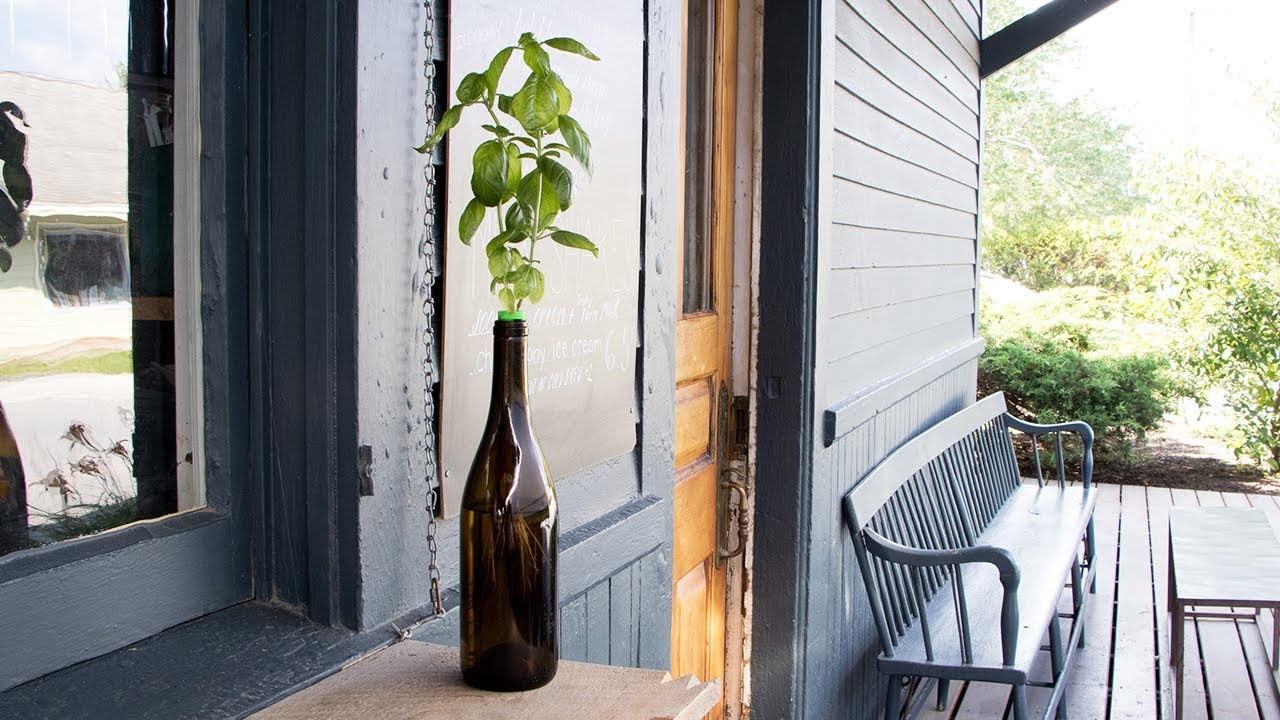 After the wine comes the herb garden.