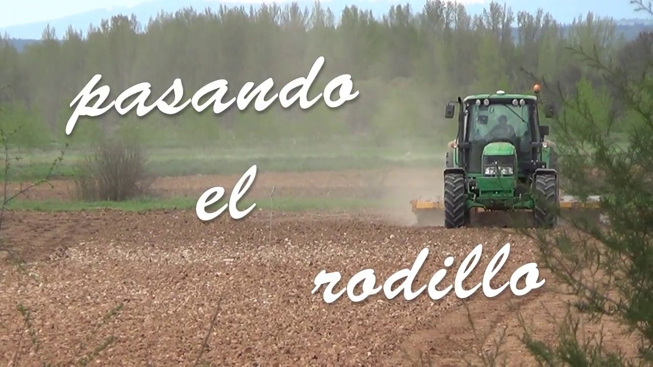 PASANDO EL RODILLO