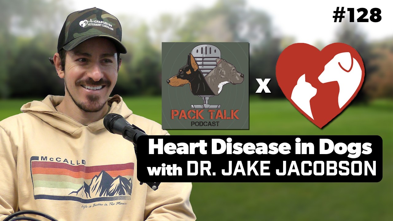 Heart Disease in Dogs: Veterinary Cardiologist Explains Symptoms, DCM, Heartworms & Treatment