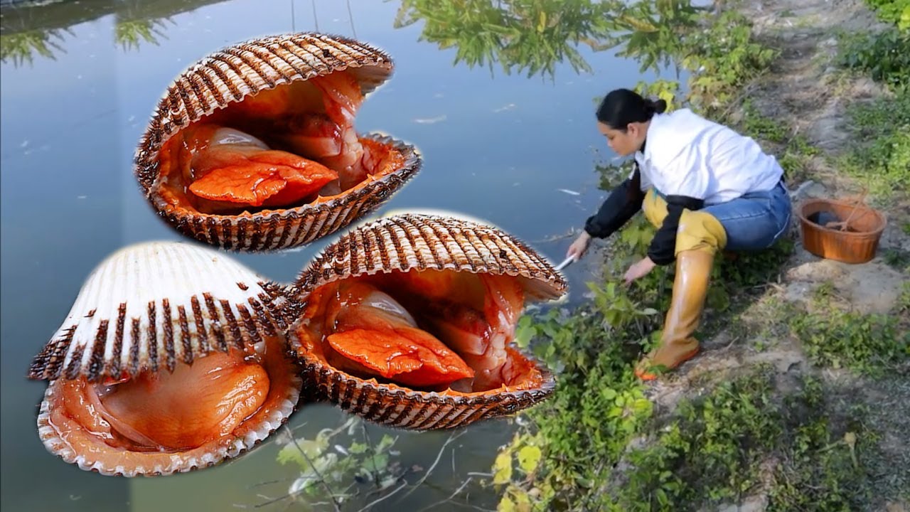Women leave early and return late every day, which is why they can find high-quality pearls