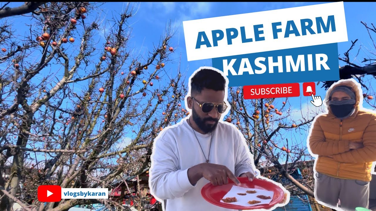 Apple farm in Kashmir தமிழில் | Episode - 6 | Tamil vlog