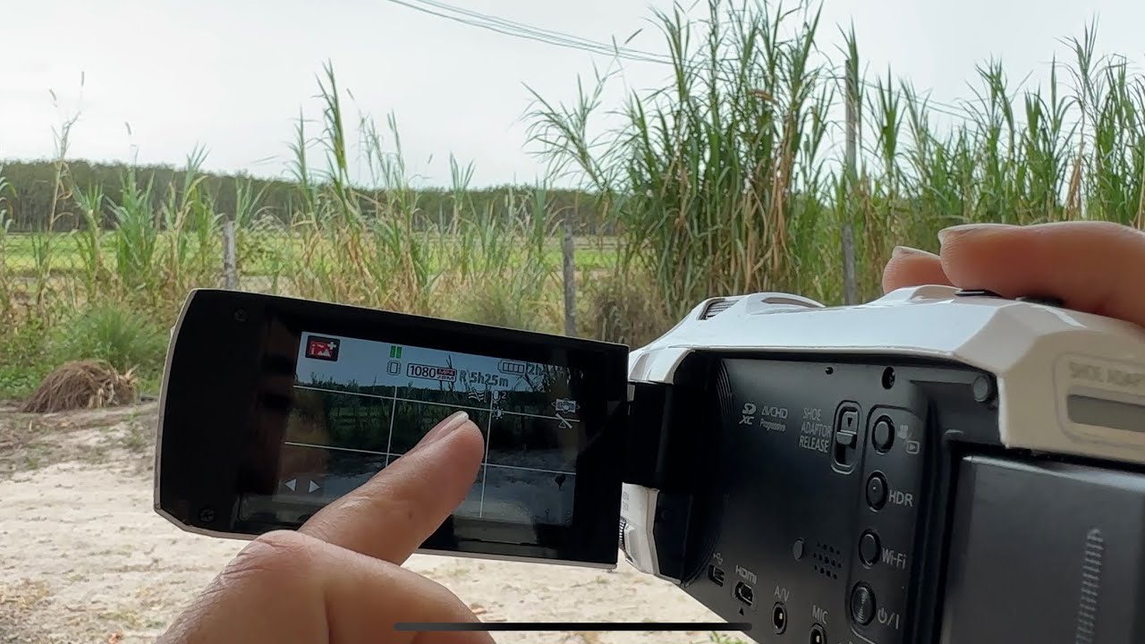 Quay phim chim cò 4k, zoom xa 25x với máy quay cầm tay Panasonic hcvx985m siêu ngon và độc đáo.
