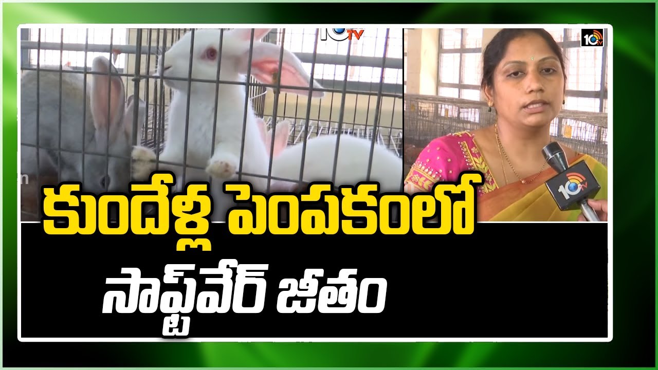 కుందేళ్ల పెంపకంలో సాఫ్ట్‌వేర్ జీతం | Software salary in Rabbit farming | Matti Manishi | 10TV