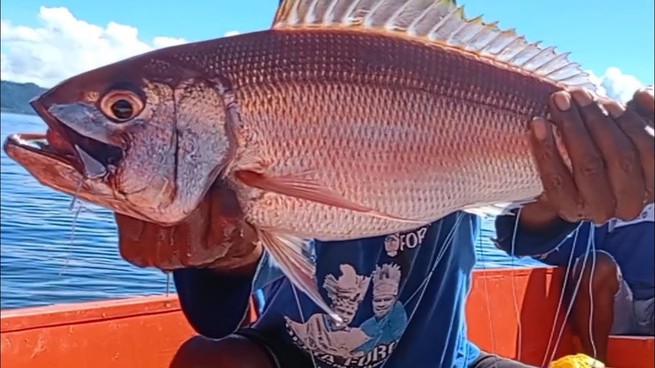 VIRAL..!! mancing ikan pakai umpan dari sikat gigi bekas..!!??