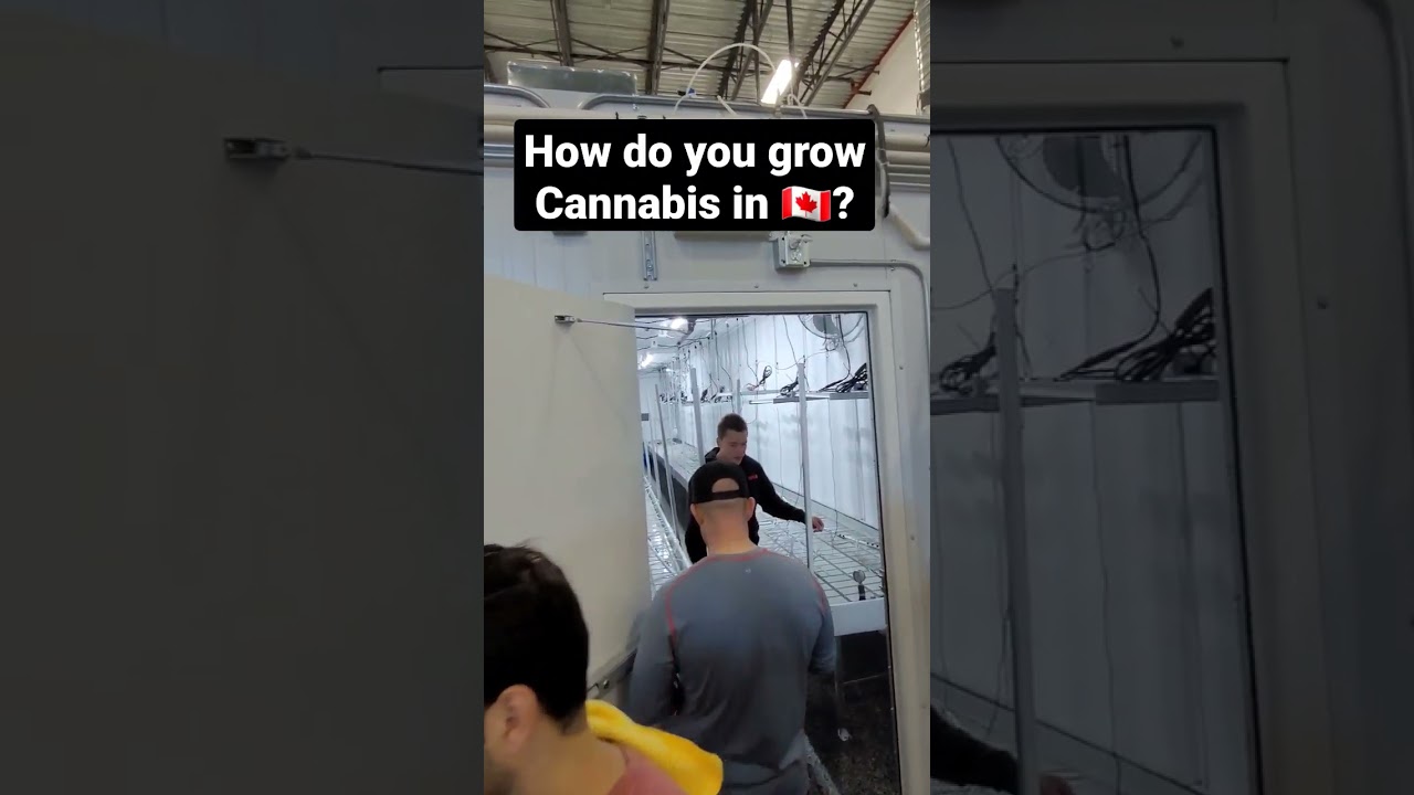 How to get into the cannabis industry - Canada. Micro-Cultivation started by 4 first responders. 18+