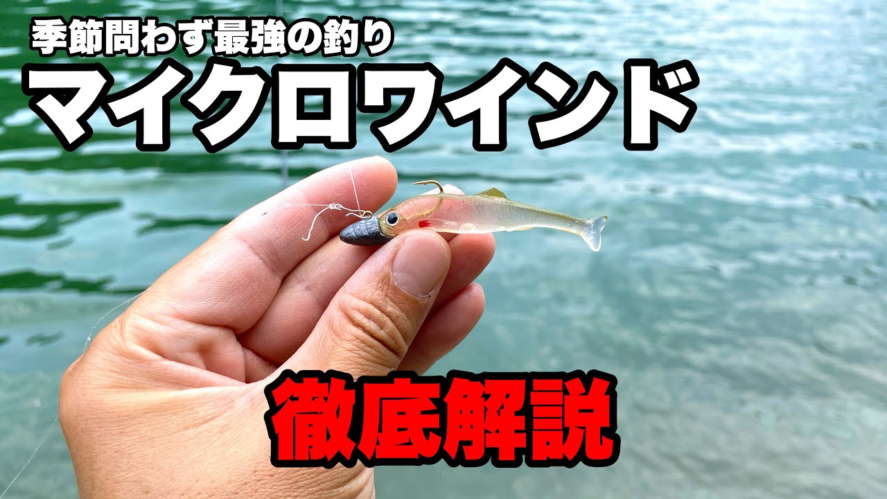 【バス釣り】ワインドの基本操作と最新テクを解説しながら釣りまくって来ました