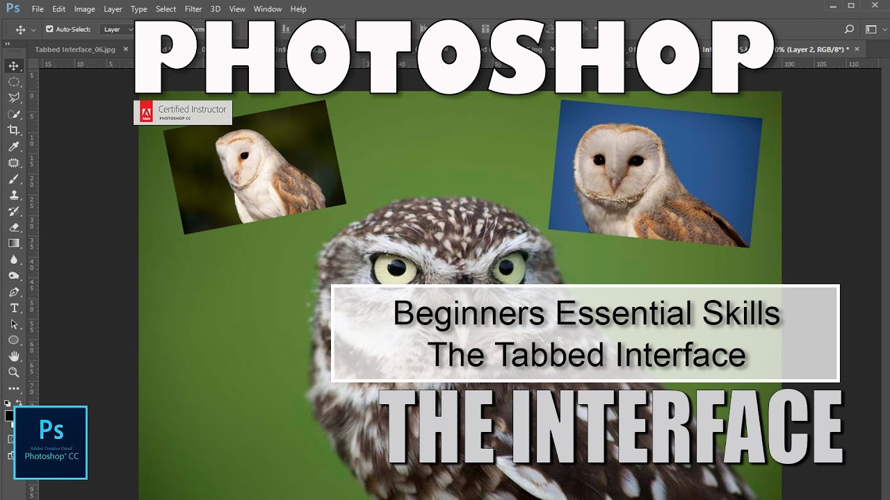 The Tabbed Interface:  Photoshop Beginners Essential Skills: