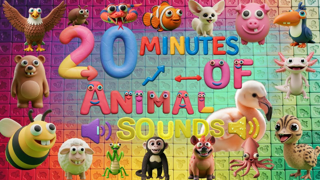 20-Minute Wild Animal Sounds Adventure №6! Ocean ABCs, Freaky Critters & Colorful Animals!