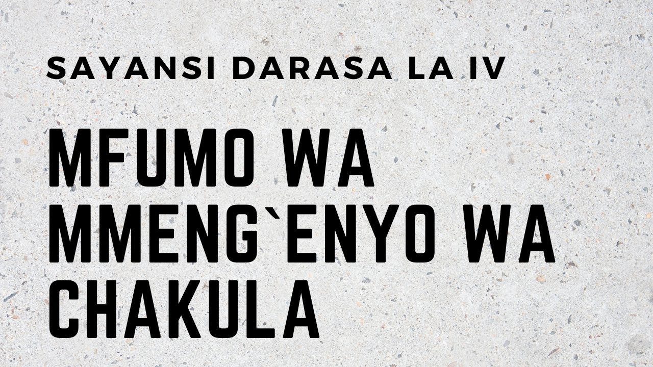 SAYANSI DARASA LA IV  MFUMO WA MMENG`ENYO WA CHAKULA