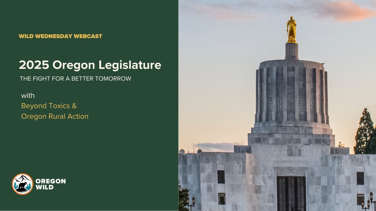 The Oregon Legislature and the fight for a better tomorrow