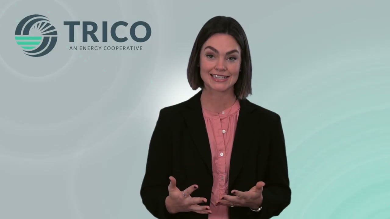 Trico Livewire January 2026