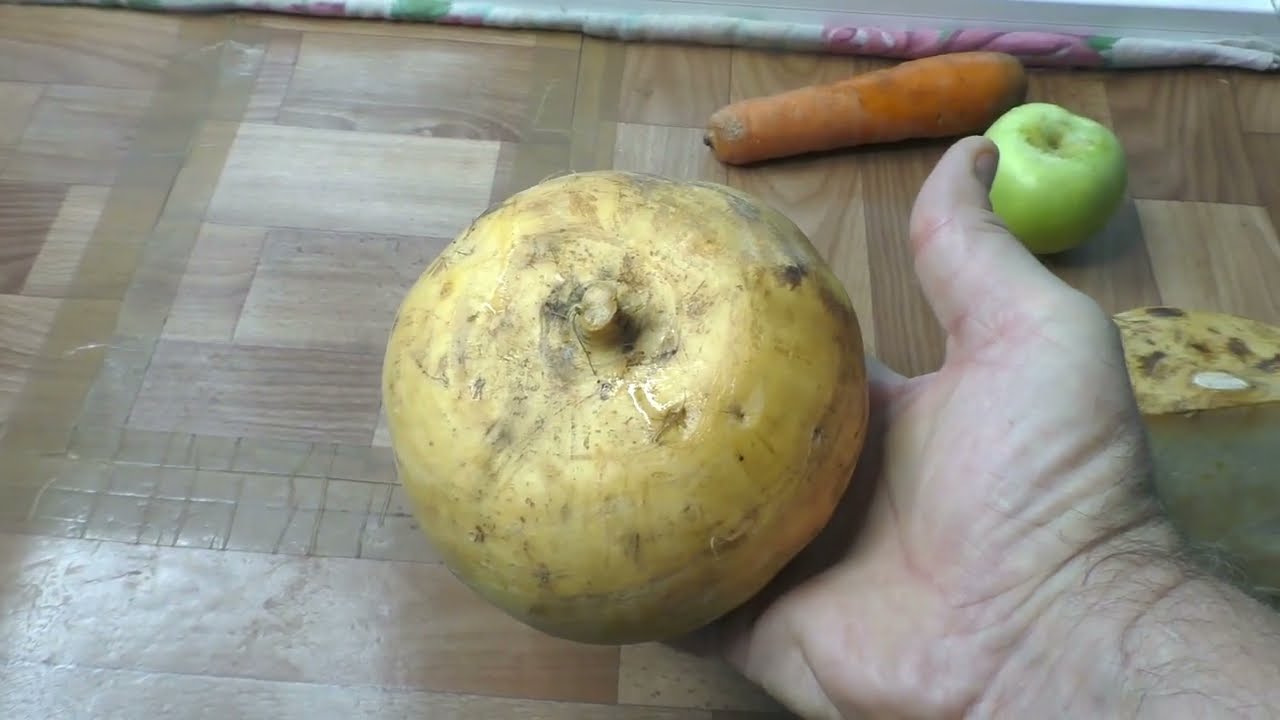 Как приготовить салат из репы