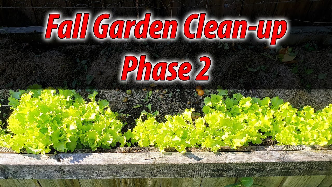 Garden Cleanup Phase 2 of 3 - Garden Vlog Update (2019)