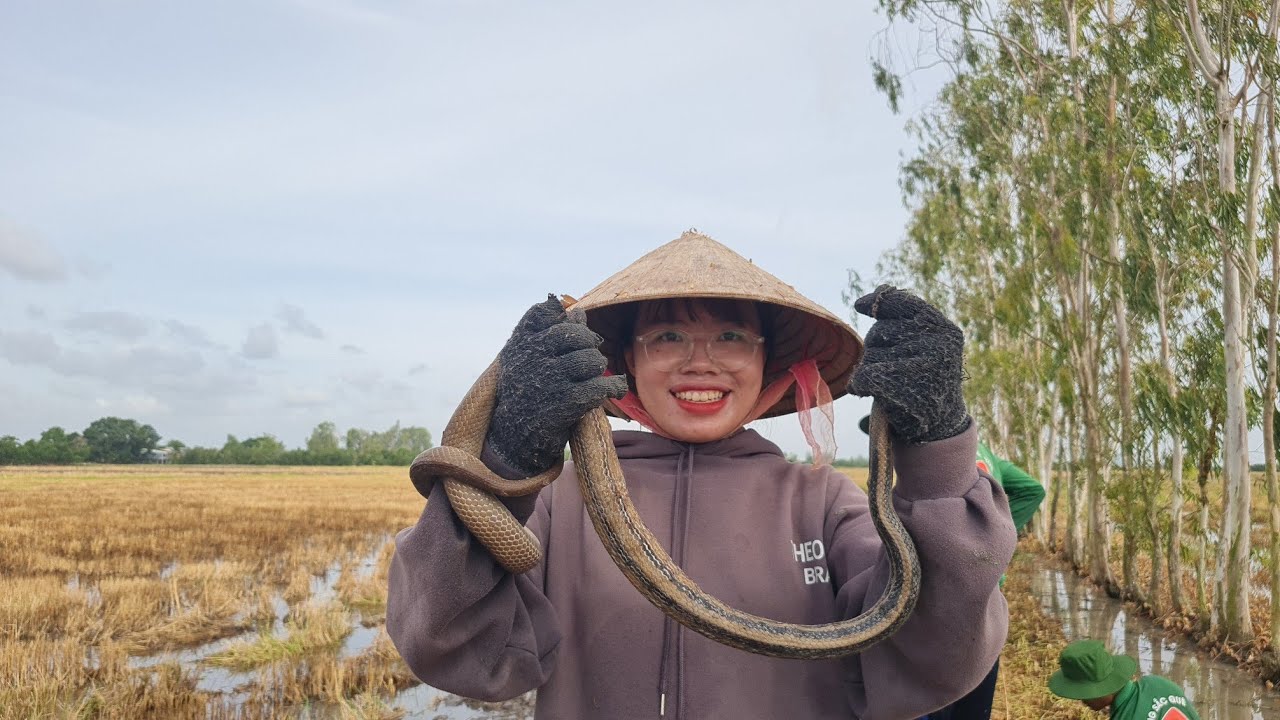 Loay Hoay Đào Hang Đổ Nước Truy Lùng Bầy Chuột, Bất Ngờ Chạm Mặt Con Hổ Ngựa Khủng...| HSQ #206