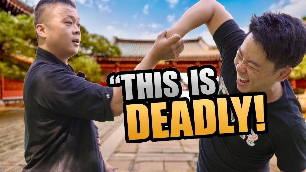 Shaolin Long Fist with Chin Na is TERRIFYING ￼ 