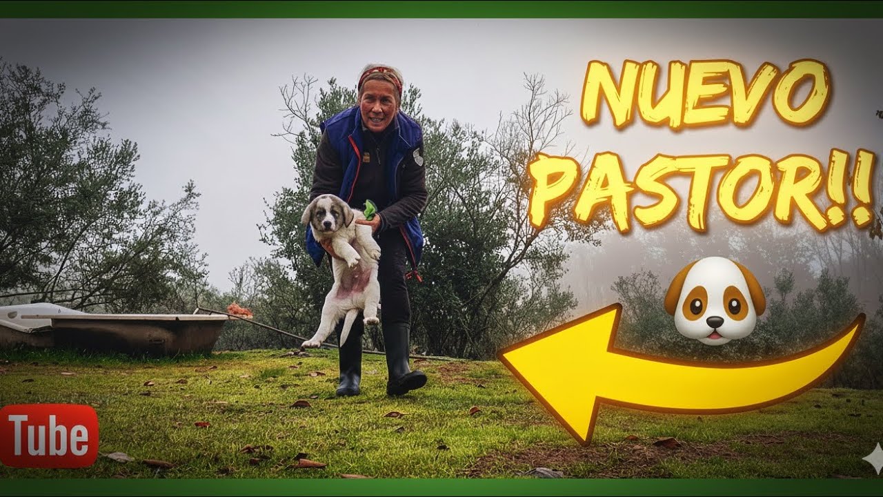 MI HERMANO ME DA UN PERRO NUEVO!!