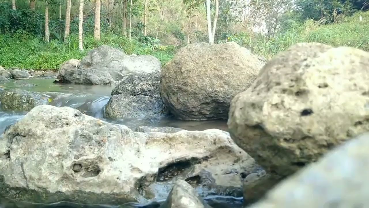 Relaxing with the harmony of Indonesian nature #nature #channelrelaksasi #indonesiannature 