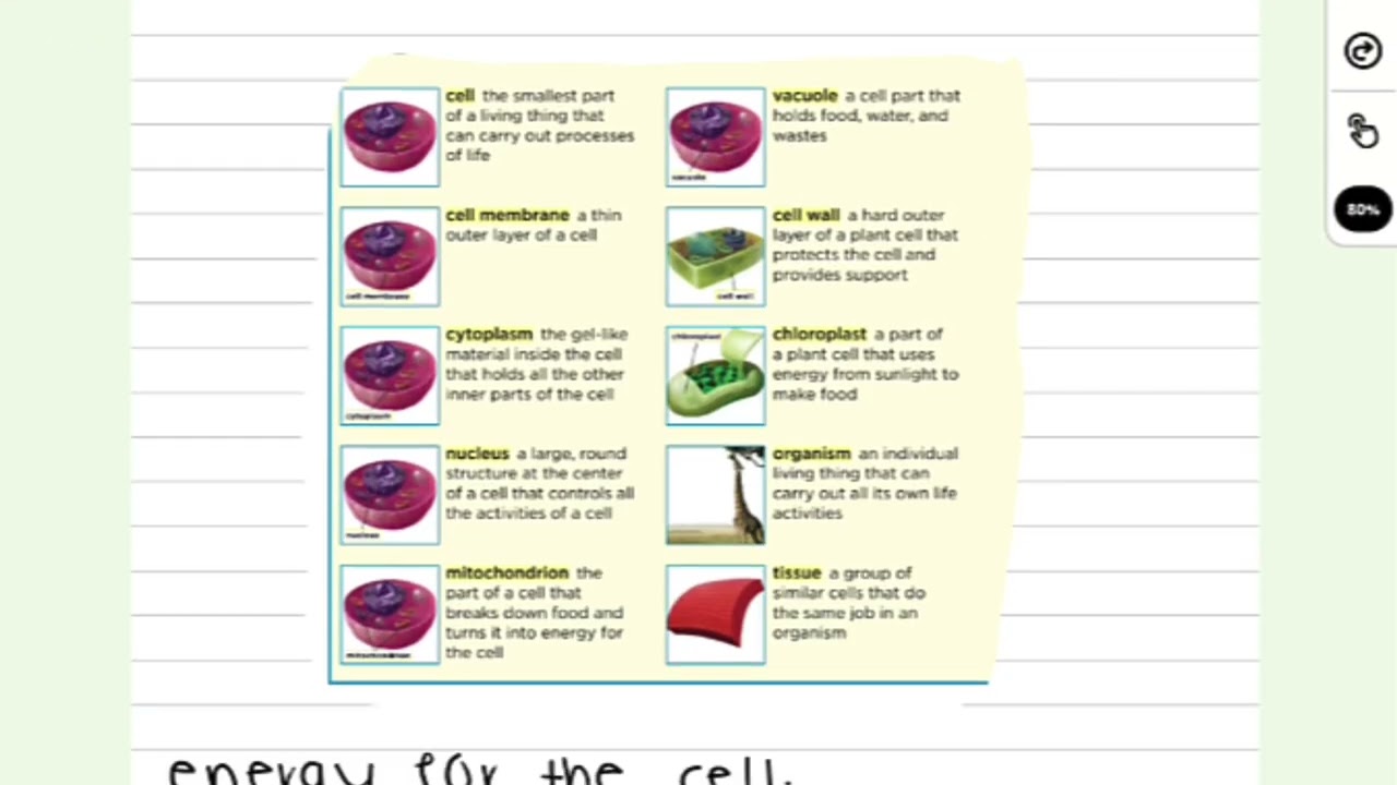 Jotit in 3 Minutes | EdTech That Bridges Digital & Traditional Learning