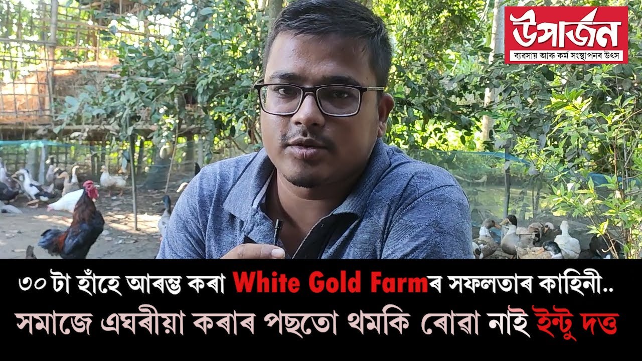 সমস্যাৰ সম্মুখত হাৰ নমনা এজন যুৱকৰ কাহিনী.../ Poultry Farm in Assam