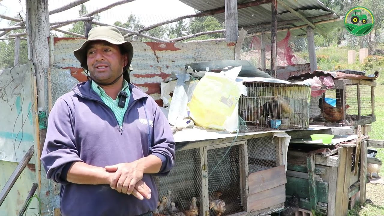 PRODUCCIÓN AGROPECUARIA EN Simijaca Cundinamarca.