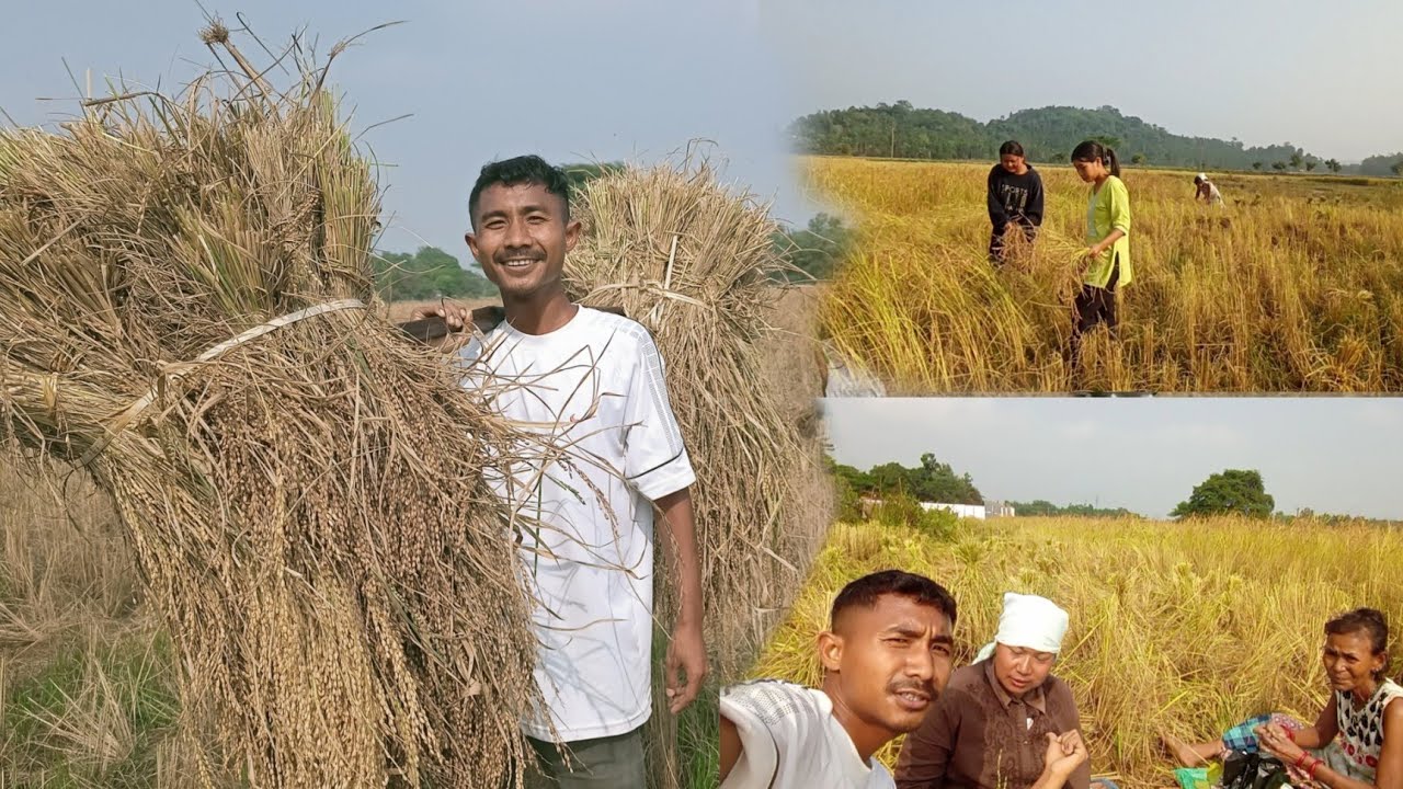 Songadamni Mande | Bilsi Kari Soktingo Kana nanggipa Kam | Da Lema-ni Mi-ko Ratna rebara 🌾🌾🌾