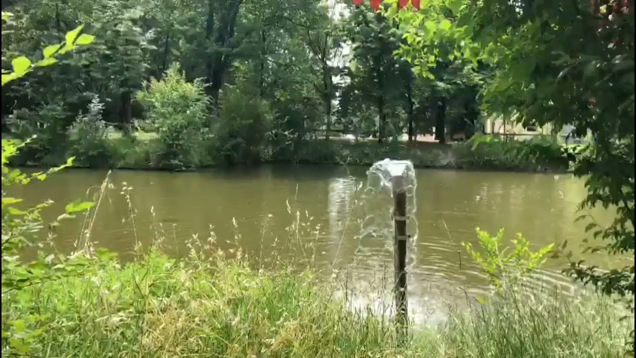 la natura del nostro mondo