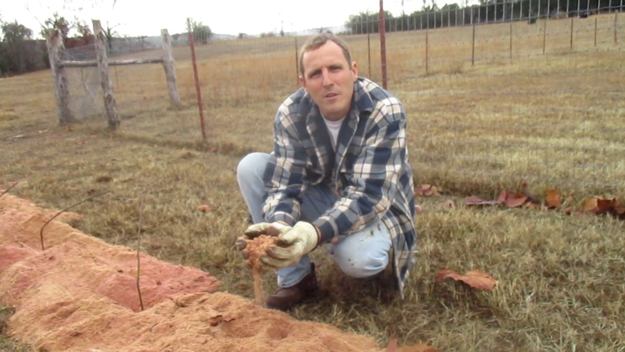 Sawdust - Weed and Moisture Barrier?