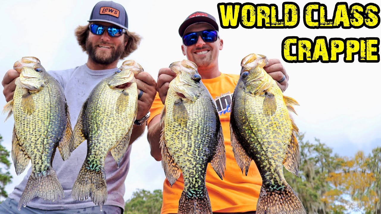INSANE Crappie Fishing with LIVESCOPE! Watch It All Unfold! (MONSTERS w/ McCormick)