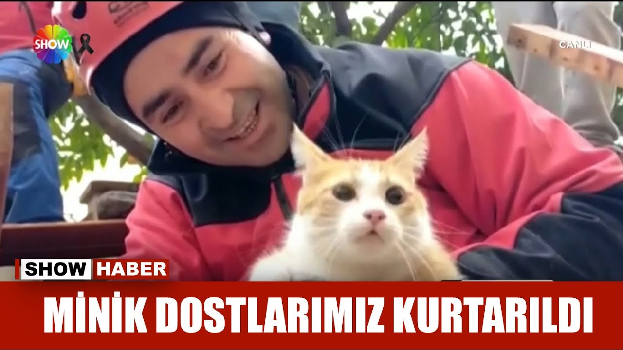 Enkaz altından kurtarılan hayvan dostlarımız