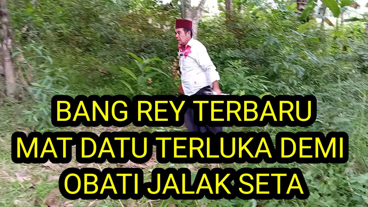 BANG REY TERBARU MAT DATU TERLUKA DEMI JALAK SETA