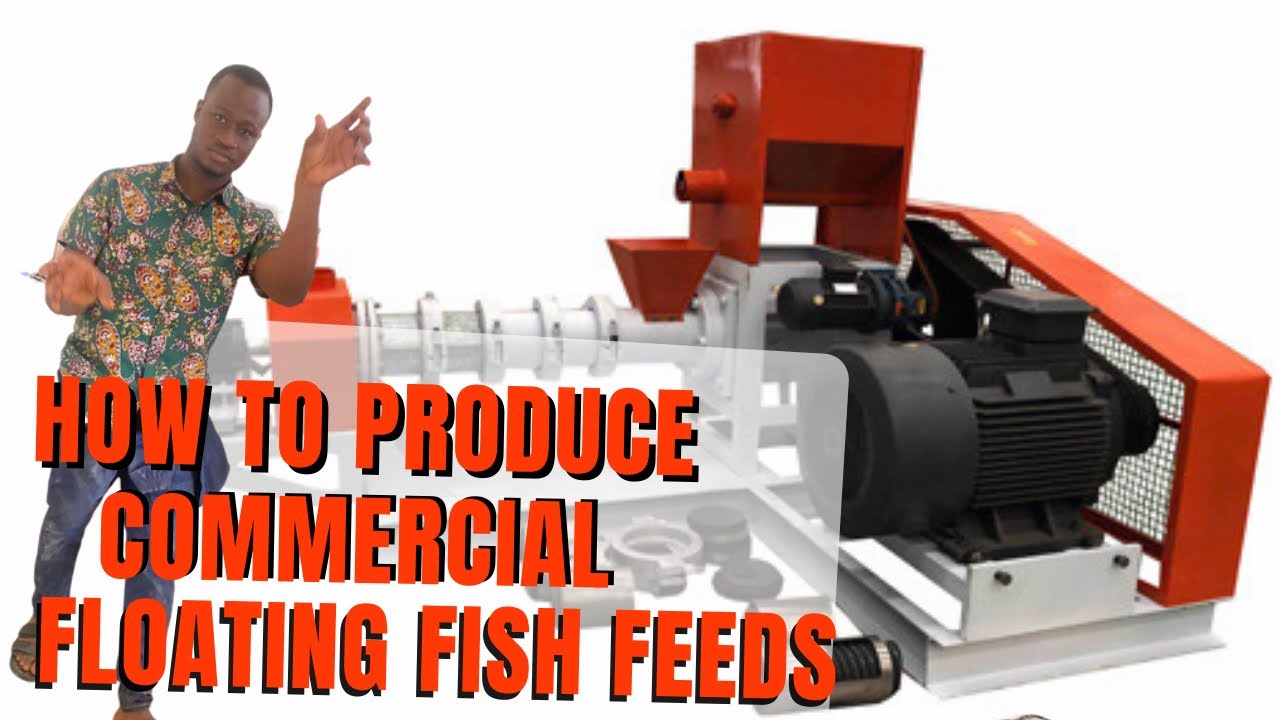 How To Produce COMMERCIAL FLOATING FISH FEED using LIMA Complete Fish Feed Extruder Line | by Bspice