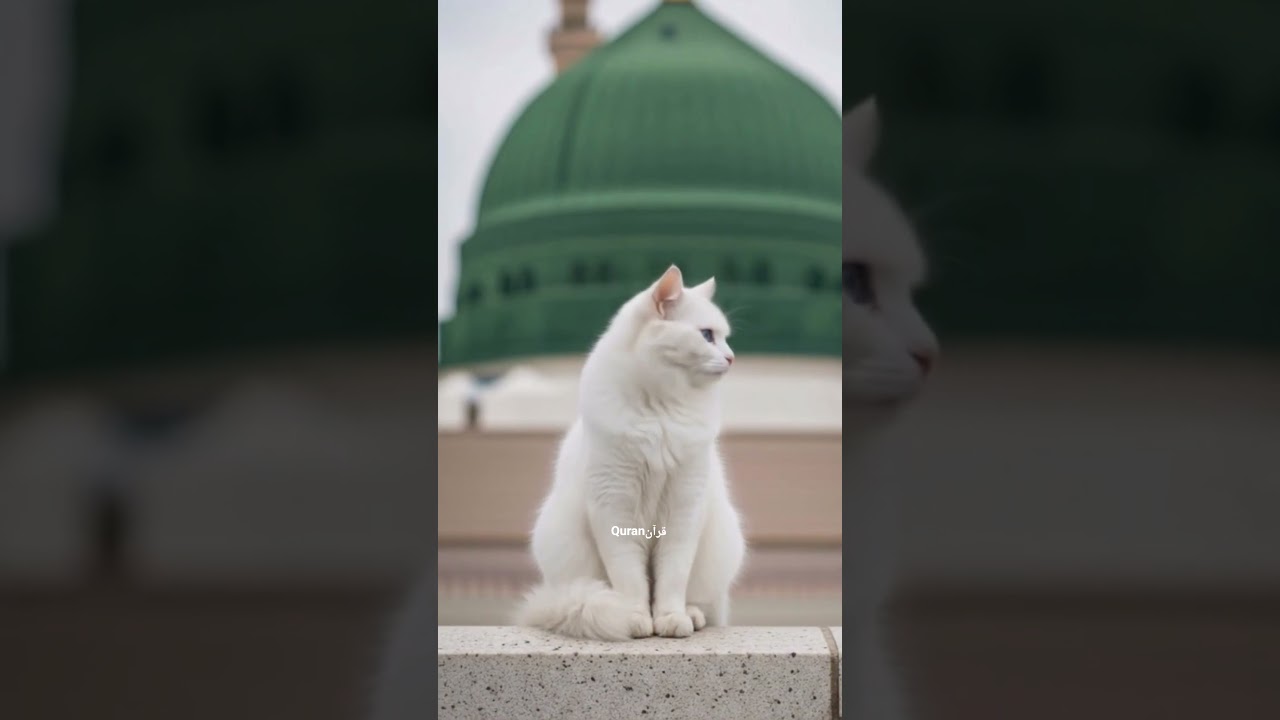 Muhammad Nabina Beautiful Naat | Heart Touching Naat 2026 | Emotional Islamic Kalam