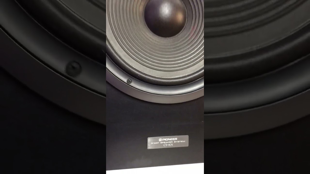 Pioneer CS-901