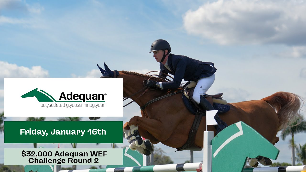 Watch Live: $32,000 Adequan WEF Challenge Round 2