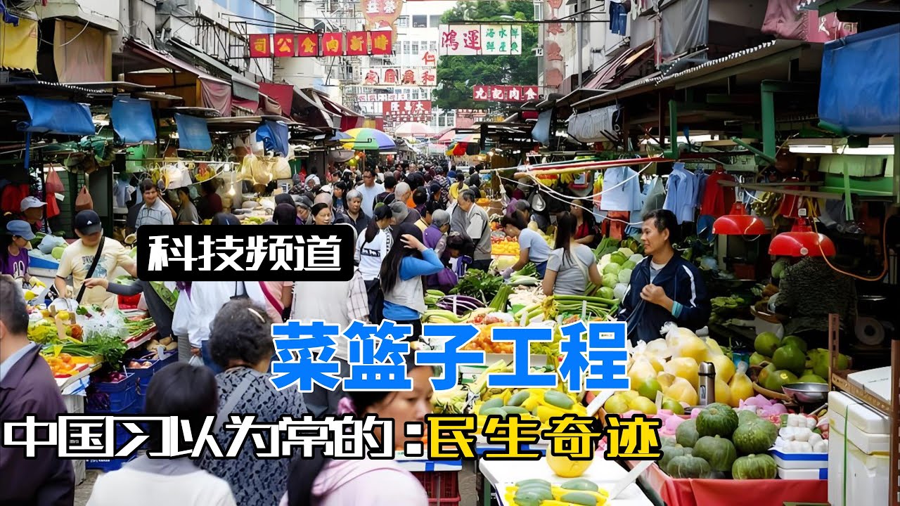 为何全球只有中国实现蔬菜自由？这背后是一场跨越30年的大工程！#菜篮子工程#菜市场#民生工程#高速绿通#蔬菜自由