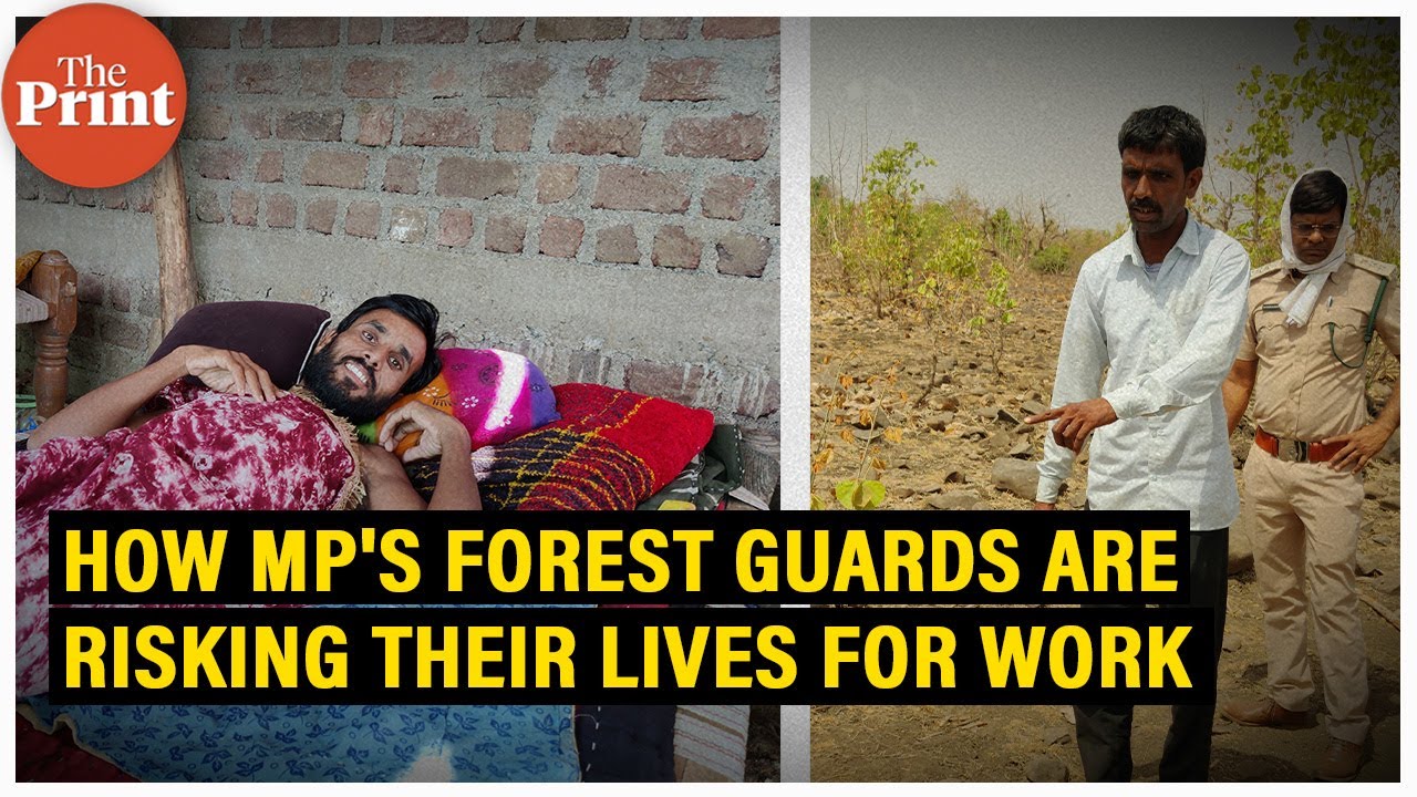 Shot, stabbed, mauled, killed: How Madhya Pradesh&rsquo;s forest guards are risking their lives for work