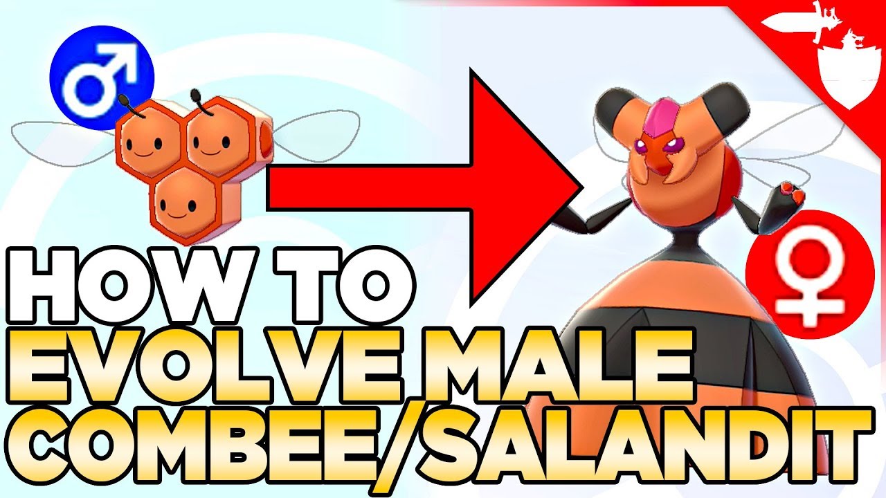 Как развить самцов Комби и Саландита в Pokemon Sword and Shield