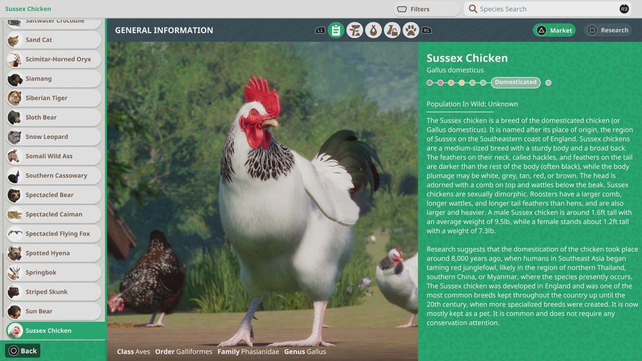 Planet Zoo Animal Spotlight: Sussex Chicken!!