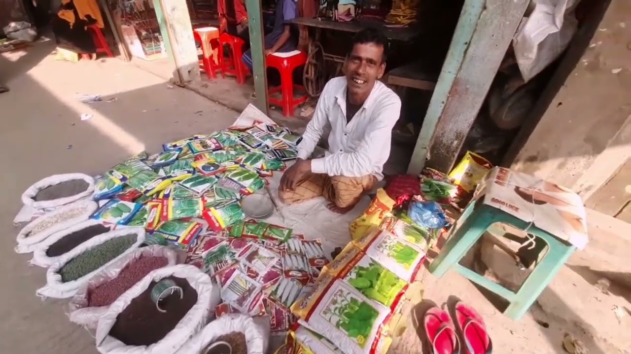 কাকাইলছেও বাজারে চলুন কিছুক্ষণ ঘুরে আসি, আজমিরীগঞ্জ, হবিগঞ্জ