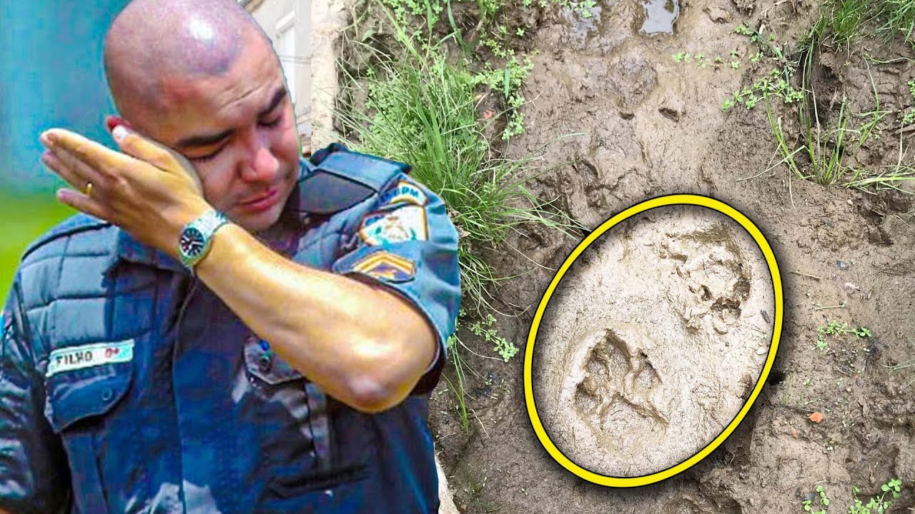 Boy Vanishes Without A Trace, Then Dog's Footprints Lead Police To Full Story