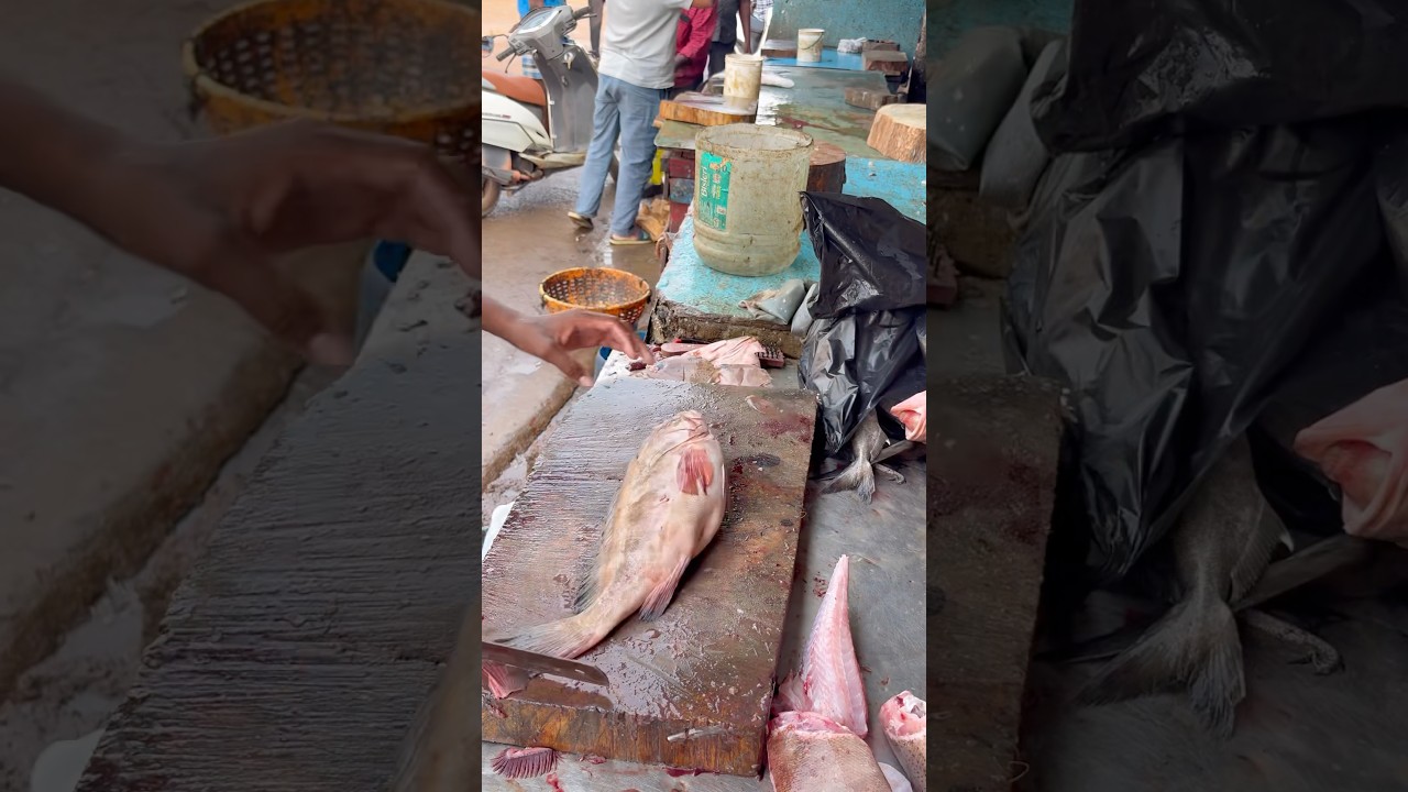 🔥 Perfect Red Snapper cutting skills &ndash; clean slices, zero waste! 🐟🔪