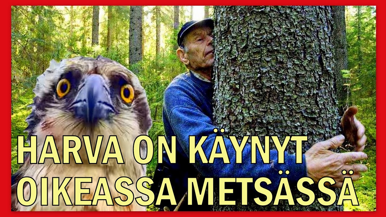 Pentti Linkola - Metsät (2012) | Oikeat metsät on hävitetty lähes kokonaan | Luonnonperintösäätiö