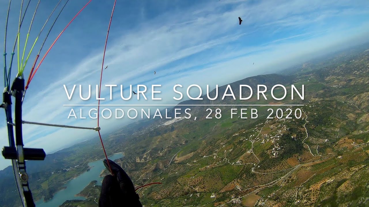 Algodonales Vulture Squadron!