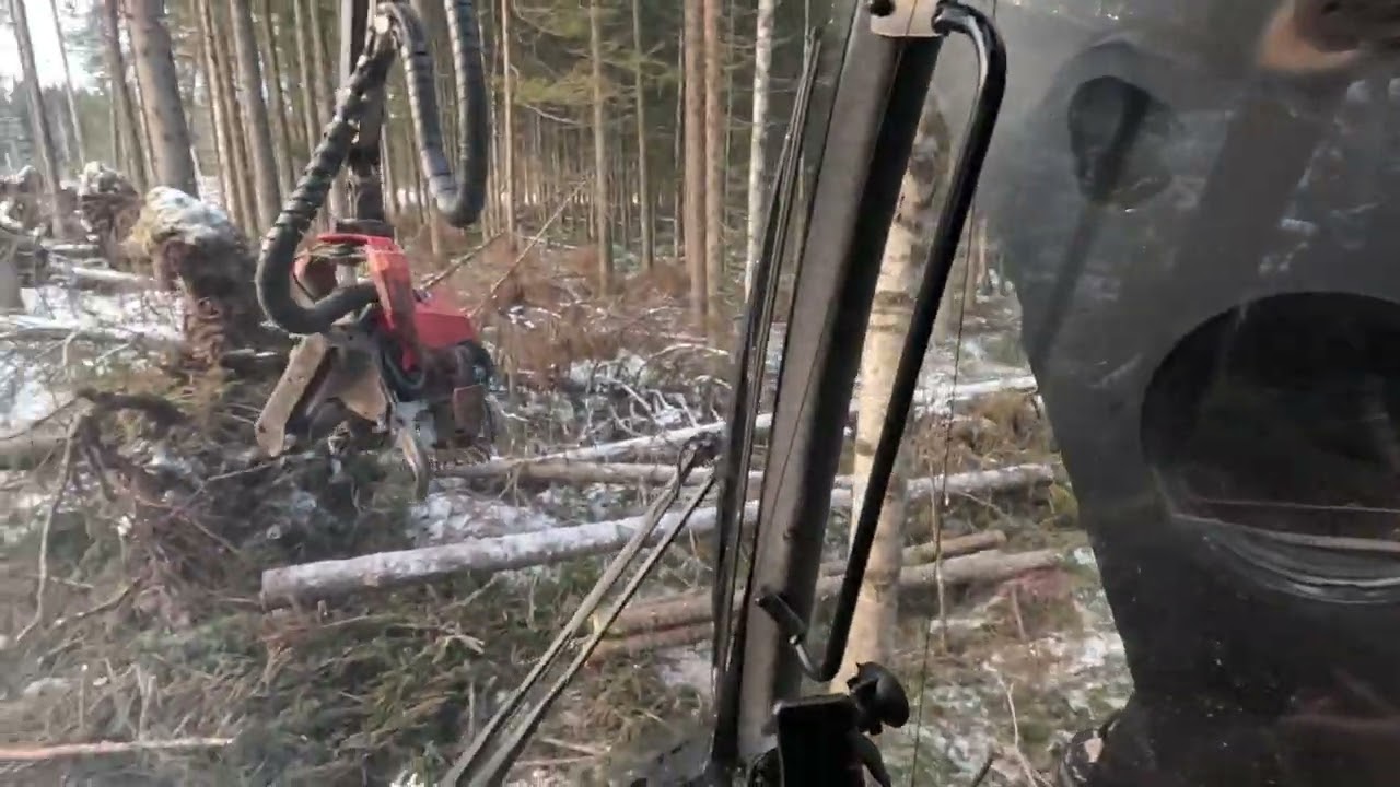 Valmet 901.4 ja syksyn viimeisiä rytöjä