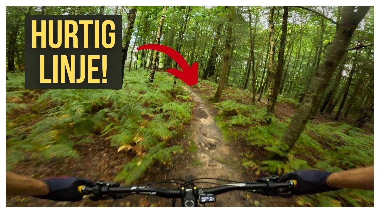 Honey er en LYNHURTIG linje på Danmarks Tag | De bedste danske MTB spor [4K]