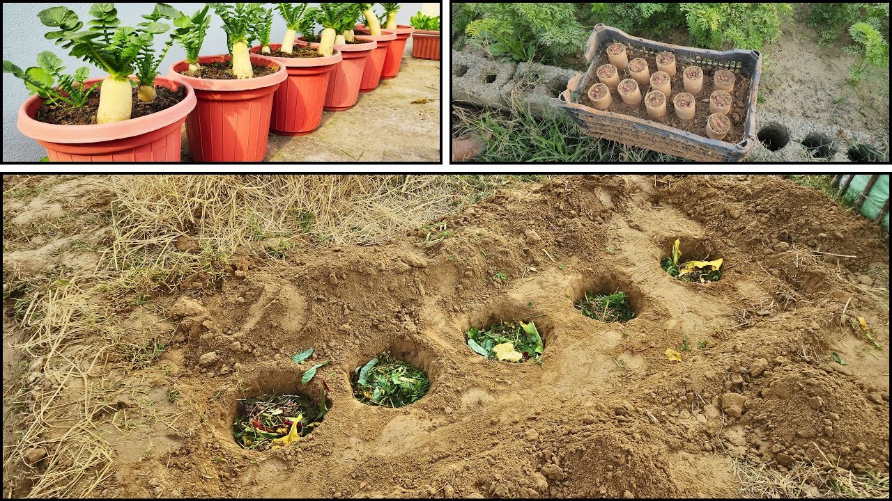 Don’t Have Much Compost? Do This Instead