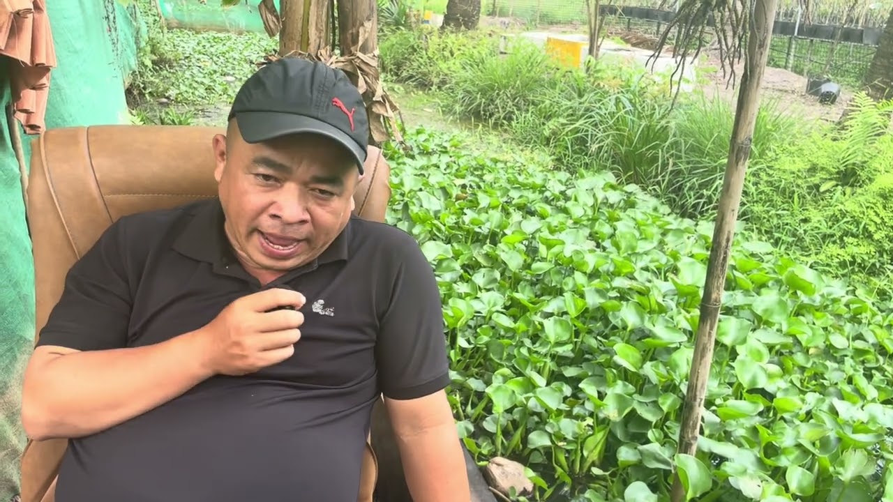 O Chị Ny chi 5 tỷ làm từ Thiện - Hồng Loan và Má Tư Quốc Thanh 21/1
