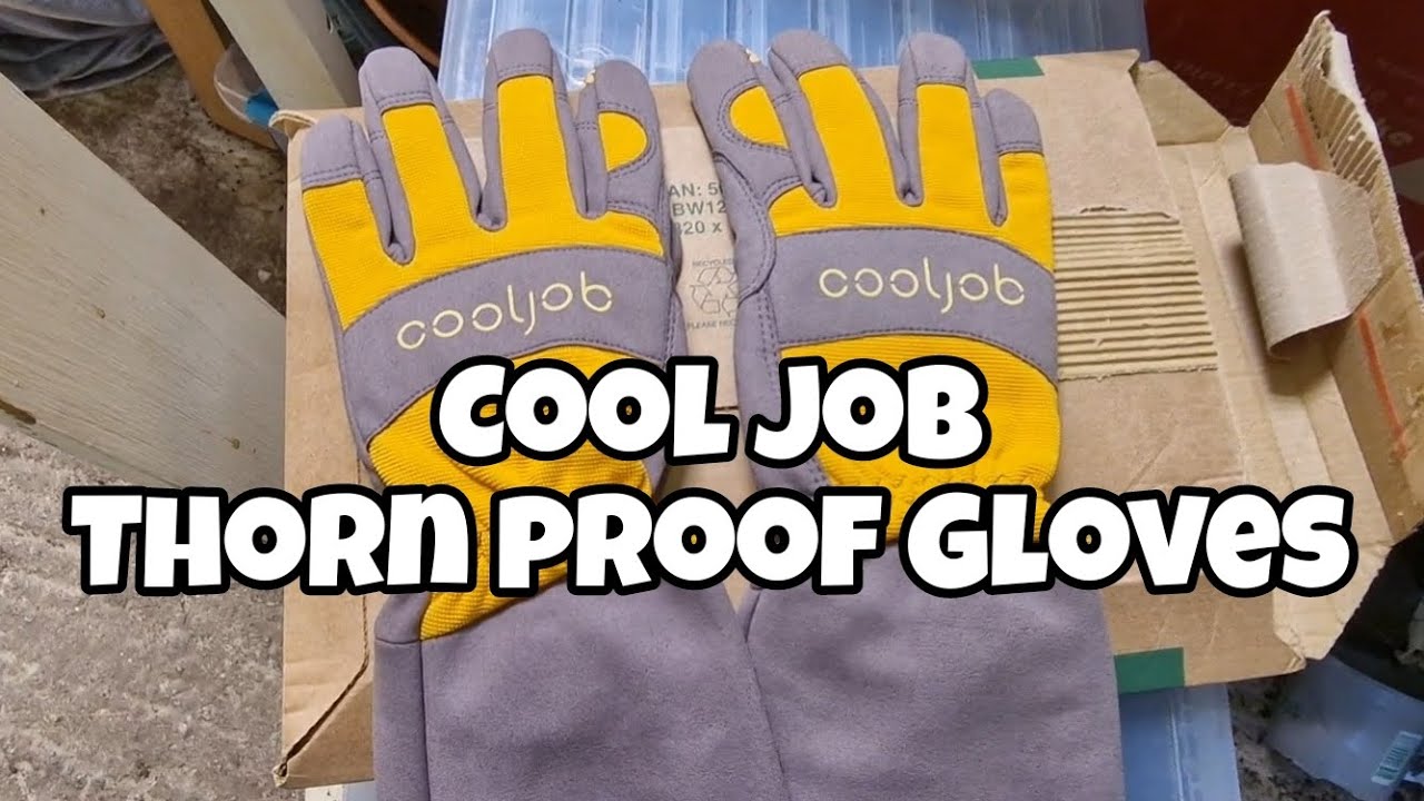 Unbeatable Thorn Protection? Gloves Revealed! #cooljob