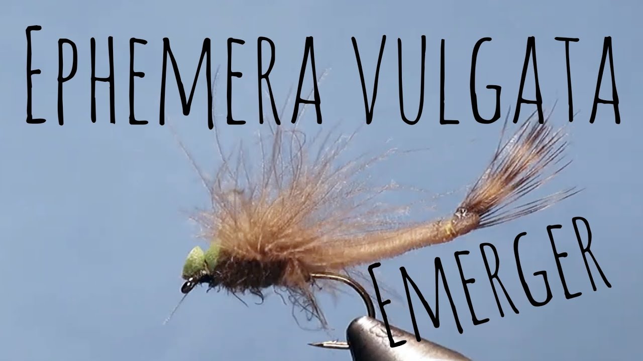 Ephemera Vulgata klekker/emerger dry fly
