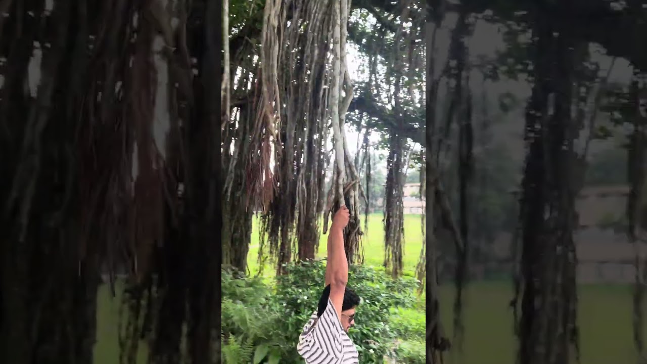 Rangpur #rangpur #vlog #travel #viral